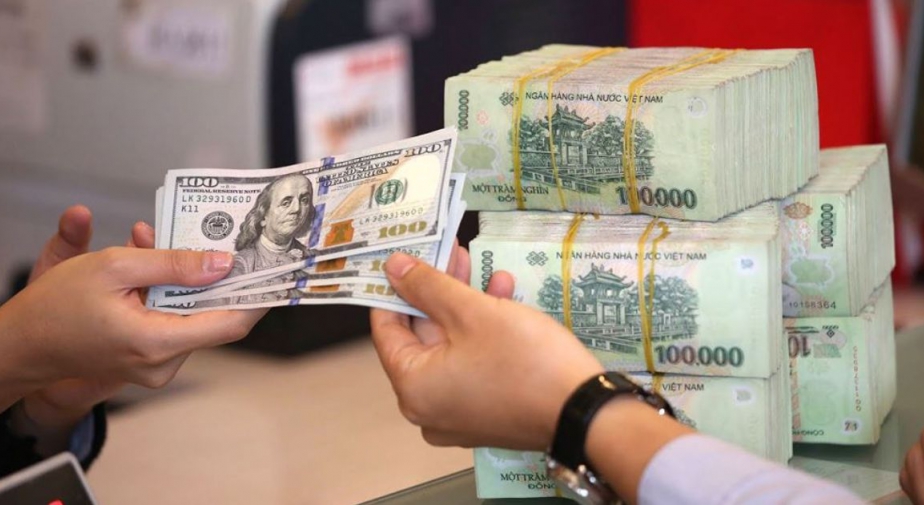 Để ứng phó hiệu quả với biến động tỷ giá